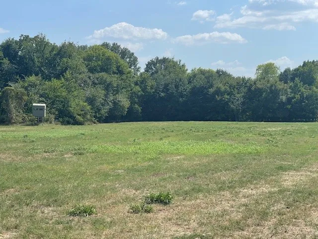 Unimproved Land For Sale in Van Zandt County , TBD VZ County Road 2316, Canton, Texas 75103, 0, 0, Garage spaces, 0 Sqft, built in 0, mls#21333443, Real Estate Agent in Canton, Homes For Sale in Van Zandt county, Homes For Sale in Canton, Realtor in Canton Texas, Real Estate Brokerage Independent Realty Texas, Luminita Cordes Realtor