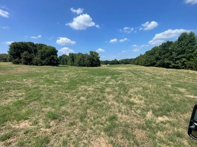 Unimproved Land For Sale in Van Zandt County , TBD VZ County Road 2316, Canton, Texas 75103, 0, 0, Garage spaces, 0 Sqft, built in 0, mls#21333443, Real Estate Agent in Canton, Homes For Sale in Van Zandt county, Homes For Sale in Canton, Realtor in Canton Texas, Real Estate Brokerage Independent Realty Texas, Luminita Cordes Realtor