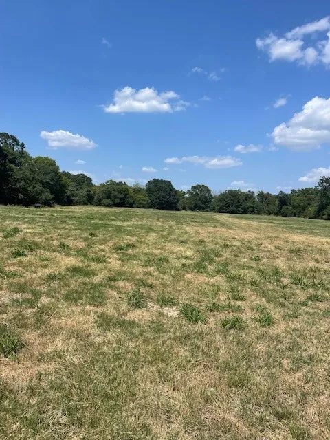 Unimproved Land For Sale in Van Zandt County , TBD VZ County Road 2316, Canton, Texas 75103, 0, 0, Garage spaces, 0 Sqft, built in 0, mls#21333443, Real Estate Agent in Canton, Homes For Sale in Van Zandt county, Homes For Sale in Canton, Realtor in Canton Texas, Real Estate Brokerage Independent Realty Texas, Luminita Cordes Realtor