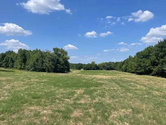 Unimproved Land For Sale in Van Zandt County , TBD VZ County Road 2316, Canton, Texas 75103, 0, 0, Garage spaces, 0 Sqft, built in 0, mls#21333443, Real Estate Agent in Canton, Homes For Sale in Van Zandt county, Homes For Sale in Canton, Realtor in Canton Texas, Real Estate Brokerage Independent Realty Texas, Luminita Cordes Realtor