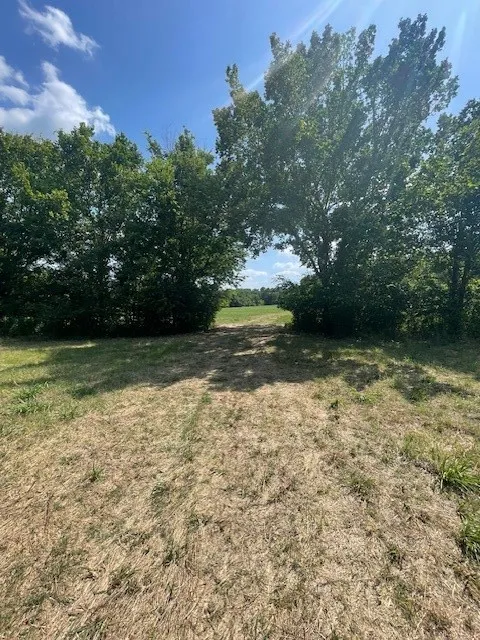 Unimproved Land For Sale in Van Zandt County , TBD VZ County Road 2316, Canton, Texas 75103, 0, 0, Garage spaces, 0 Sqft, built in 0, mls#21333443, Real Estate Agent in Canton, Homes For Sale in Van Zandt county, Homes For Sale in Canton, Realtor in Canton Texas, Real Estate Brokerage Independent Realty Texas, Luminita Cordes Realtor