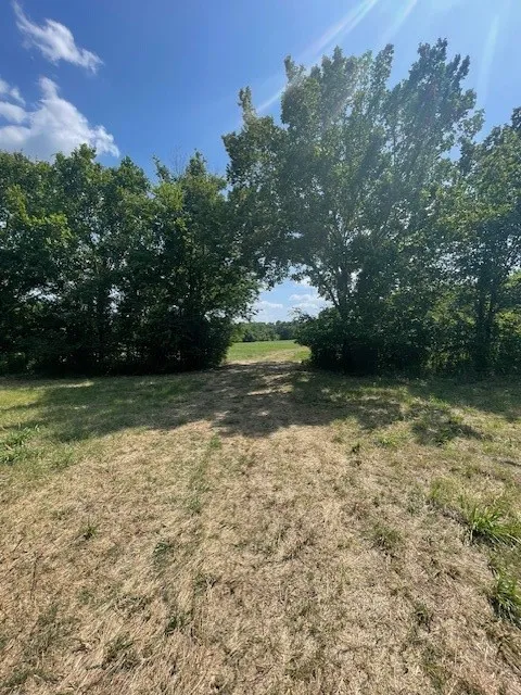 Unimproved Land For Sale in Van Zandt County , TBD VZ County Road 2316, Canton, Texas 75103, 0, 0, Garage spaces, 0 Sqft, built in 0, mls#21333443, Real Estate Agent in Canton, Homes For Sale in Van Zandt county, Homes For Sale in Canton, Realtor in Canton Texas, Real Estate Brokerage Independent Realty Texas, Luminita Cordes Realtor