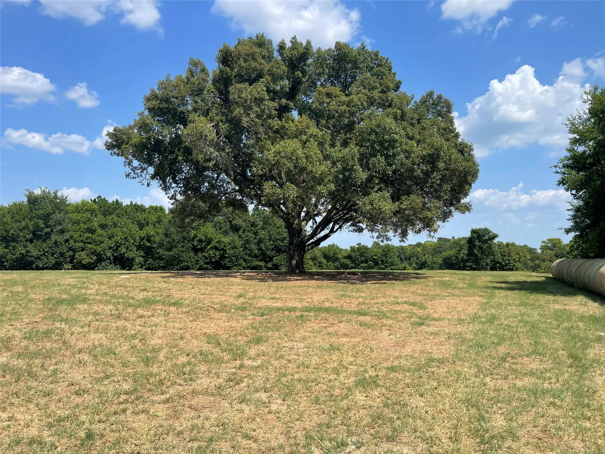 Unimproved Land For Sale in Van Zandt County , TBD VZ County Road 2316, Canton, Texas 75103, 0, 0, Garage spaces, 0 Sqft, built in 0, mls#21333443, Real Estate Agent in Canton, Homes For Sale in Van Zandt county, Homes For Sale in Canton, Realtor in Canton Texas, Real Estate Brokerage Independent Realty Texas, Luminita Cordes Realtor
