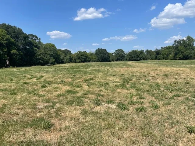 Unimproved Land For Sale in Van Zandt County , TBD VZ County Road 2316, Canton, Texas 75103, 0, 0, Garage spaces, 0 Sqft, built in 0, mls#21333443, Real Estate Agent in Canton, Homes For Sale in Van Zandt county, Homes For Sale in Canton, Realtor in Canton Texas, Real Estate Brokerage Independent Realty Texas, Luminita Cordes Realtor