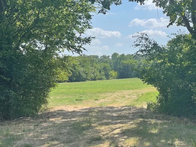 Unimproved Land For Sale in Van Zandt County , TBD VZ County Road 2316, Canton, Texas 75103, 0, 0, Garage spaces, 0 Sqft, built in 0, mls#21333443, Real Estate Agent in Canton, Homes For Sale in Van Zandt county, Homes For Sale in Canton, Realtor in Canton Texas, Real Estate Brokerage Independent Realty Texas, Luminita Cordes Realtor