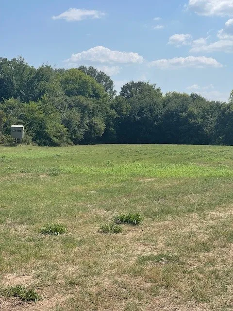 Unimproved Land For Sale in Van Zandt County , TBD VZ County Road 2316, Canton, Texas 75103, 0, 0, Garage spaces, 0 Sqft, built in 0, mls#21333443, Real Estate Agent in Canton, Homes For Sale in Van Zandt county, Homes For Sale in Canton, Realtor in Canton Texas, Real Estate Brokerage Independent Realty Texas, Luminita Cordes Realtor
