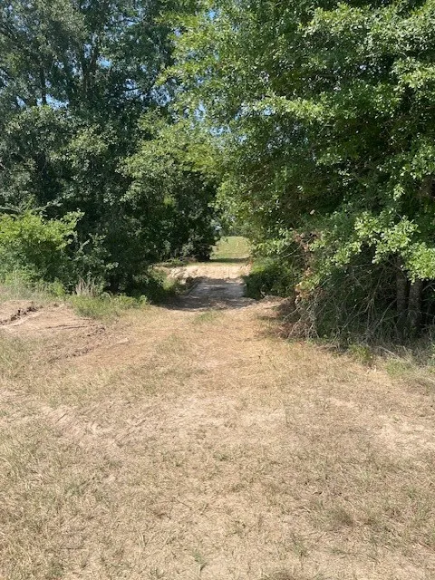 Unimproved Land For Sale in Van Zandt County , TBD VZ County Road 2316, Canton, Texas 75103, 0, 0, Garage spaces, 0 Sqft, built in 0, mls#21333443, Real Estate Agent in Canton, Homes For Sale in Van Zandt county, Homes For Sale in Canton, Realtor in Canton Texas, Real Estate Brokerage Independent Realty Texas, Luminita Cordes Realtor