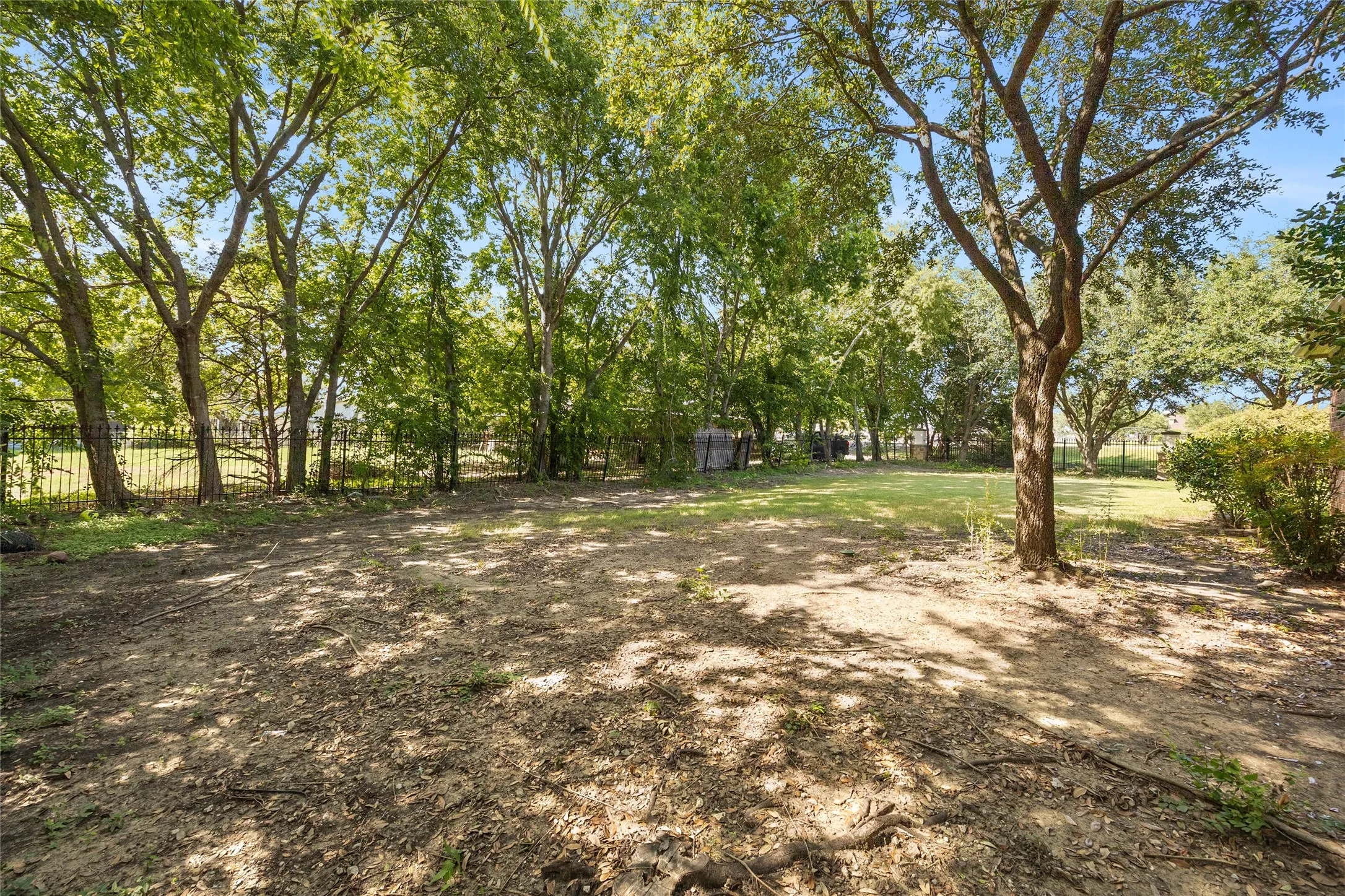 Big back yard