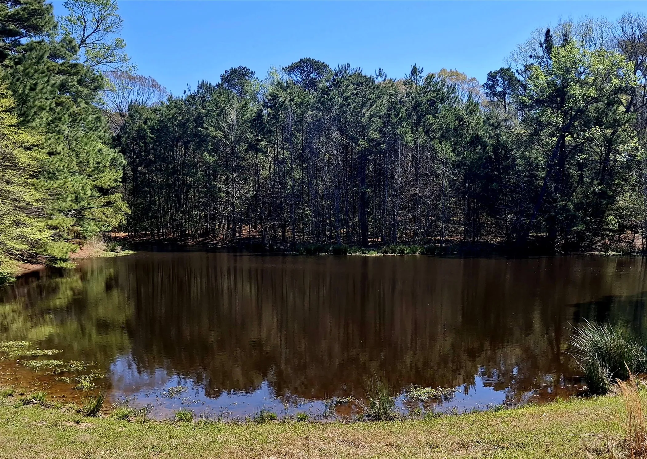 Improved Land For Sale in Cherokee County , 435 Fm 2064 N, Jacksonville, Texas 75766, 0, 0, Garage spaces, 0 Sqft, built in 0, Price $887,500, mls#21338204, Real Estate Agent in Jacksonville, Homes For Sale in Cherokee county, Homes For Sale in Jacksonville, Realtor in Jacksonville Texas, Real Estate Brokerage Independent Realty Texas, Luminita Cordes Realtor