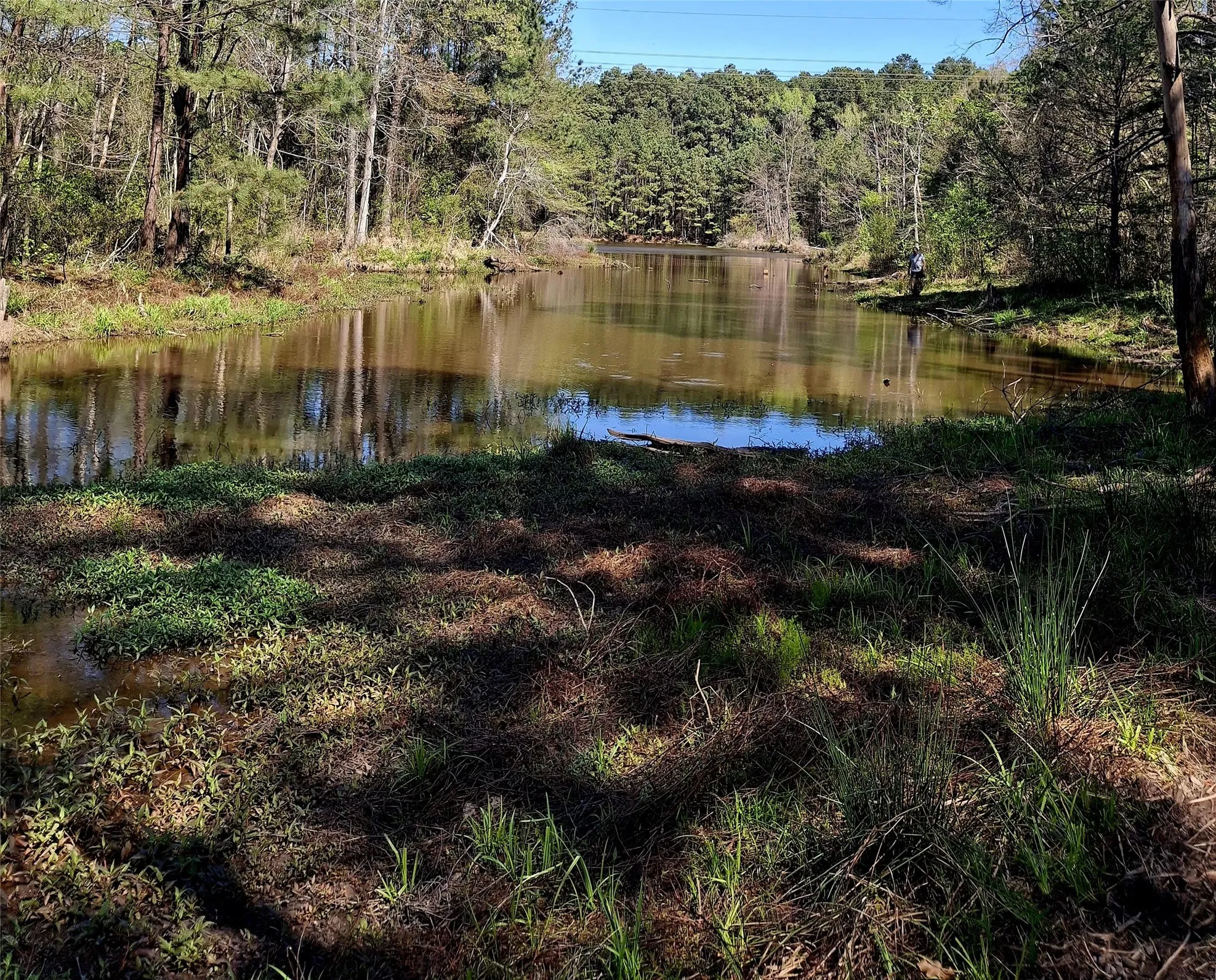 Improved Land For Sale in Cherokee County , 435 Fm 2064 N, Jacksonville, Texas 75766, 0, 0, Garage spaces, 0 Sqft, built in 0, Price $887,500, mls#21338204, Real Estate Agent in Jacksonville, Homes For Sale in Cherokee county, Homes For Sale in Jacksonville, Realtor in Jacksonville Texas, Real Estate Brokerage Independent Realty Texas, Luminita Cordes Realtor