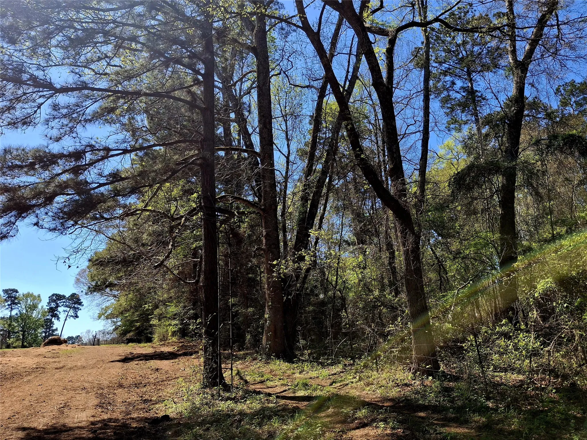 Improved Land For Sale in Cherokee County , 435 Fm 2064 N, Jacksonville, Texas 75766, 0, 0, Garage spaces, 0 Sqft, built in 0, Price $887,500, mls#21338204, Real Estate Agent in Jacksonville, Homes For Sale in Cherokee county, Homes For Sale in Jacksonville, Realtor in Jacksonville Texas, Real Estate Brokerage Independent Realty Texas, Luminita Cordes Realtor