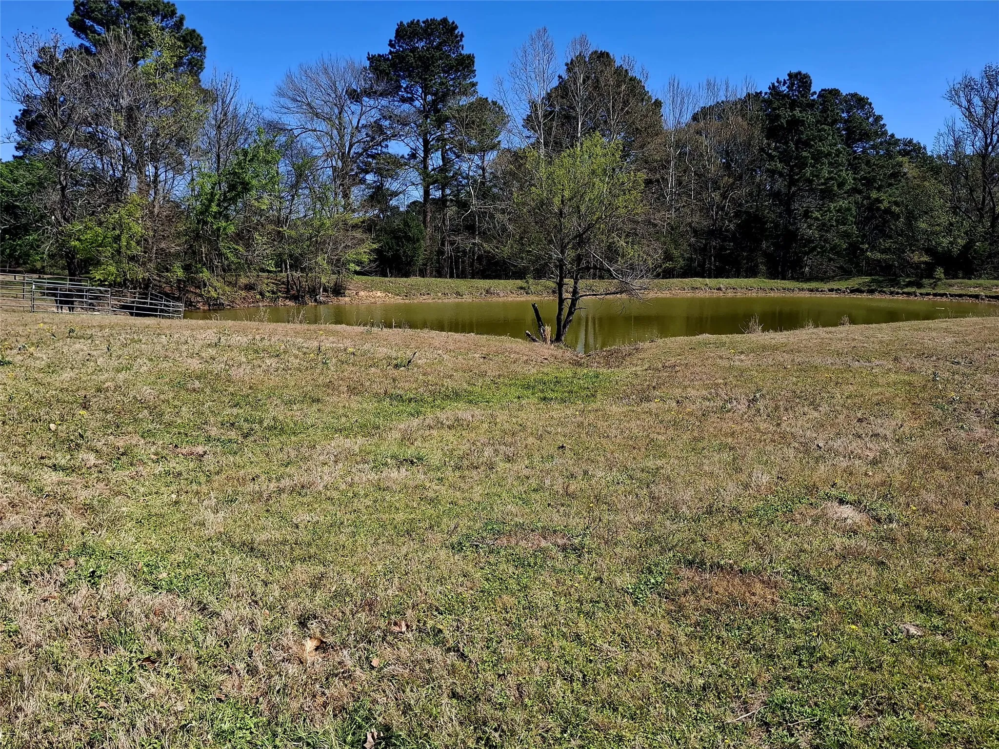 Improved Land For Sale in Cherokee County , 435 Fm 2064 N, Jacksonville, Texas 75766, 0, 0, Garage spaces, 0 Sqft, built in 0, Price $887,500, mls#21338204, Real Estate Agent in Jacksonville, Homes For Sale in Cherokee county, Homes For Sale in Jacksonville, Realtor in Jacksonville Texas, Real Estate Brokerage Independent Realty Texas, Luminita Cordes Realtor