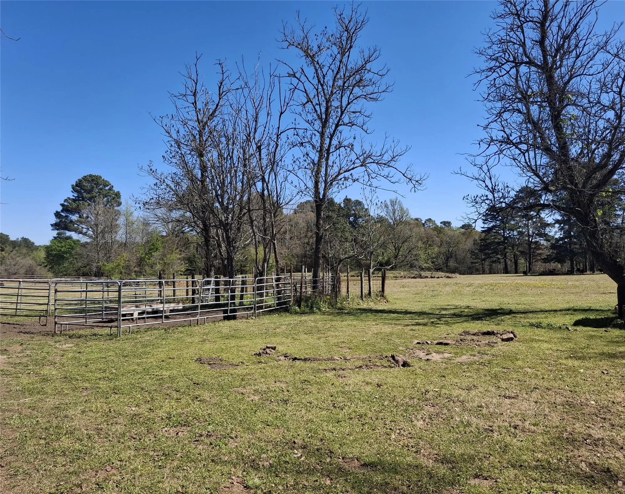 Improved Land For Sale in Cherokee County , 435 Fm 2064 N, Jacksonville, Texas 75766, 0, 0, Garage spaces, 0 Sqft, built in 0, Price $887,500, mls#21338204, Real Estate Agent in Jacksonville, Homes For Sale in Cherokee county, Homes For Sale in Jacksonville, Realtor in Jacksonville Texas, Real Estate Brokerage Independent Realty Texas, Luminita Cordes Realtor
