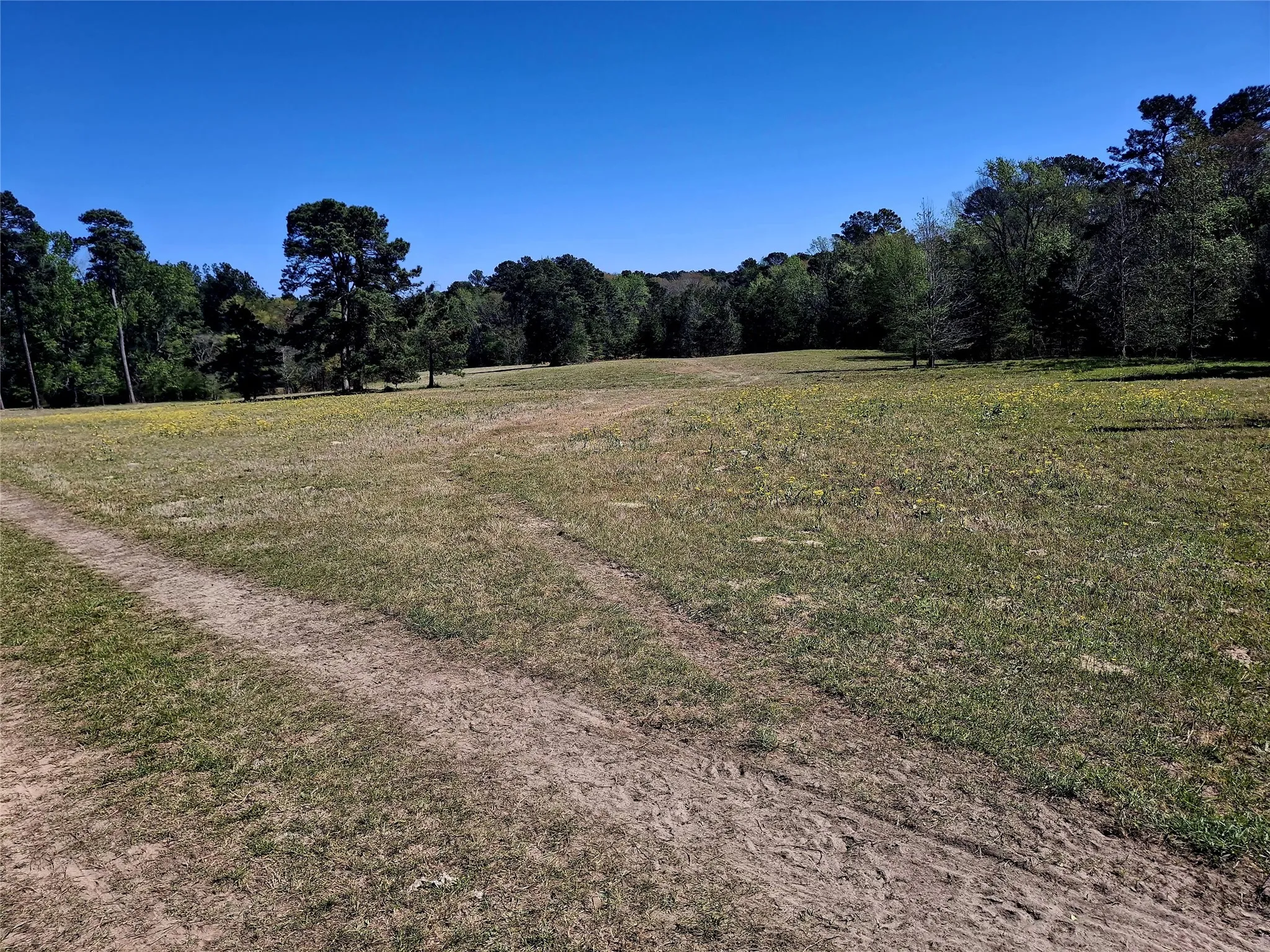 Improved Land For Sale in Cherokee County , 435 Fm 2064 N, Jacksonville, Texas 75766, 0, 0, Garage spaces, 0 Sqft, built in 0, Price $887,500, mls#21338204, Real Estate Agent in Jacksonville, Homes For Sale in Cherokee county, Homes For Sale in Jacksonville, Realtor in Jacksonville Texas, Real Estate Brokerage Independent Realty Texas, Luminita Cordes Realtor