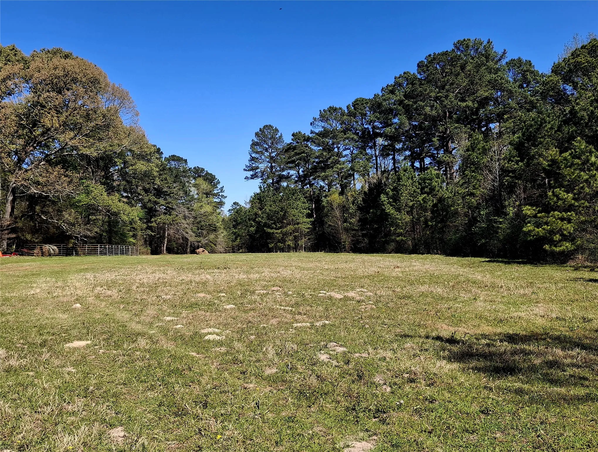 Improved Land For Sale in Cherokee County , 435 Fm 2064 N, Jacksonville, Texas 75766, 0, 0, Garage spaces, 0 Sqft, built in 0, Price $887,500, mls#21338204, Real Estate Agent in Jacksonville, Homes For Sale in Cherokee county, Homes For Sale in Jacksonville, Realtor in Jacksonville Texas, Real Estate Brokerage Independent Realty Texas, Luminita Cordes Realtor