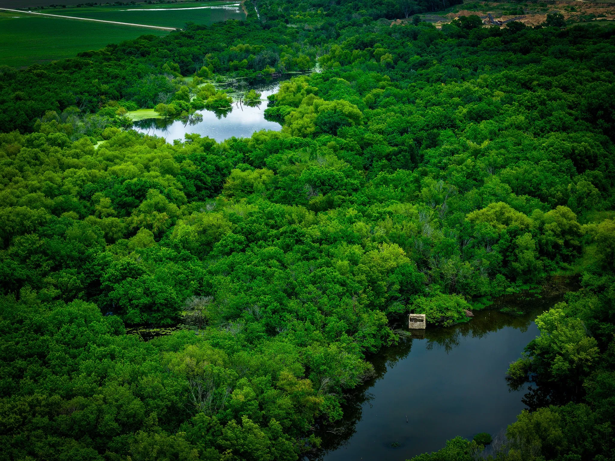 Unimproved Land For Sale in Ellis County , 775 Ten Mile, Ferris, Texas 75125, 0, 0, Garage spaces, 0 Sqft, built in 0, mls#21338229, Real Estate Agent in Ferris, Homes For Sale in Ellis county, Homes For Sale in Ferris, Realtor in Ferris Texas, Real Estate Brokerage Independent Realty Texas, Luminita Cordes Realtor