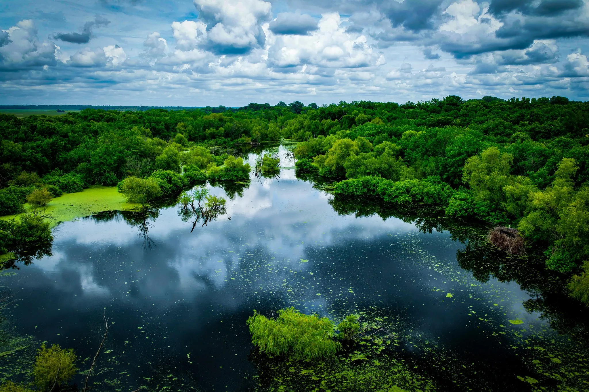 Unimproved Land For Sale in Ellis County , 775 Ten Mile, Ferris, Texas 75125, 0, 0, Garage spaces, 0 Sqft, built in 0, mls#21338229, Real Estate Agent in Ferris, Homes For Sale in Ellis county, Homes For Sale in Ferris, Realtor in Ferris Texas, Real Estate Brokerage Independent Realty Texas, Luminita Cordes Realtor