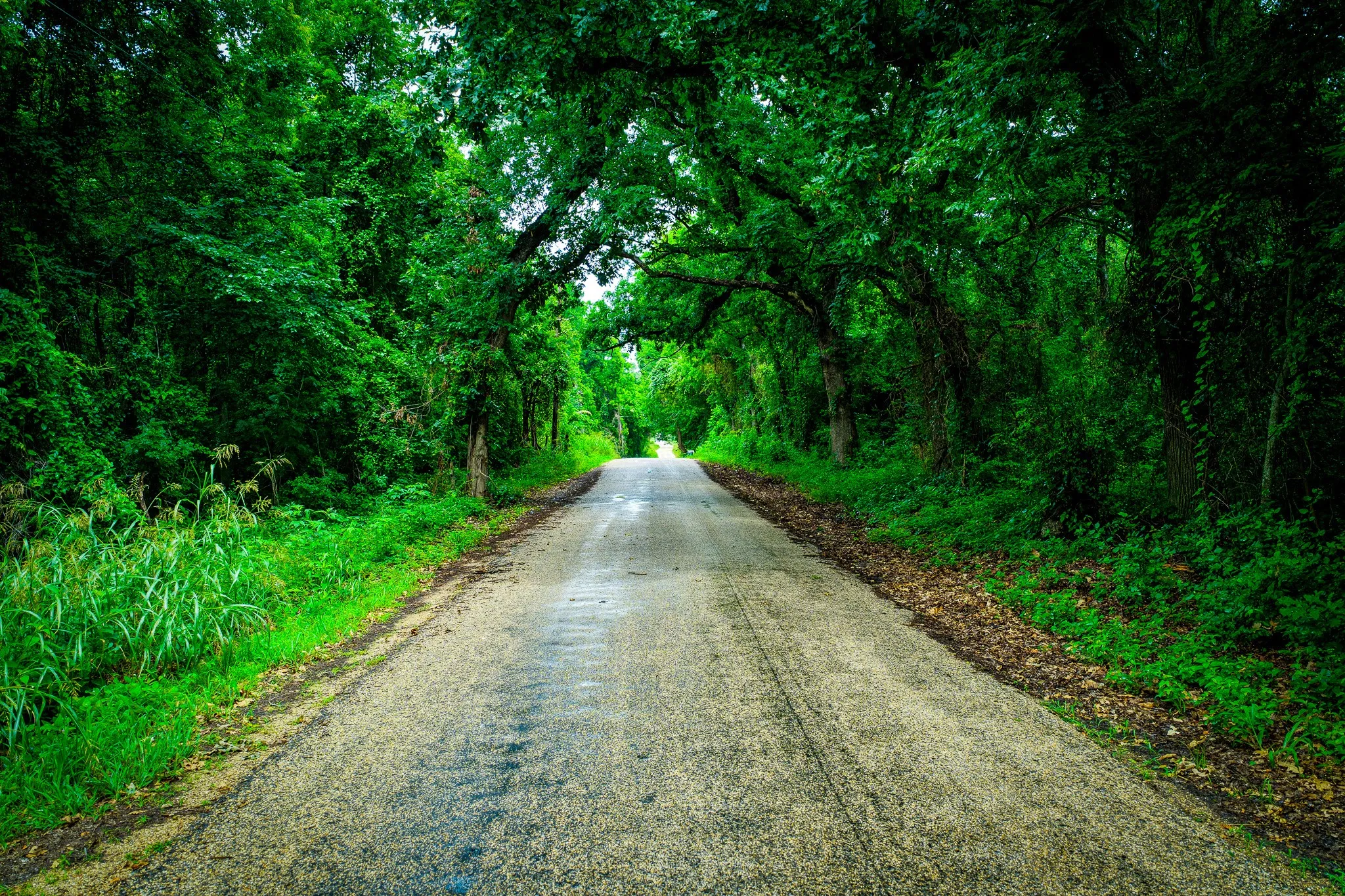 Unimproved Land For Sale in Ellis County , 775 Ten Mile, Ferris, Texas 75125, 0, 0, Garage spaces, 0 Sqft, built in 0, mls#21338229, Real Estate Agent in Ferris, Homes For Sale in Ellis county, Homes For Sale in Ferris, Realtor in Ferris Texas, Real Estate Brokerage Independent Realty Texas, Luminita Cordes Realtor