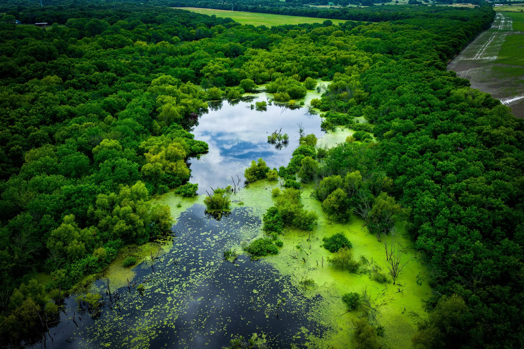 Unimproved Land For Sale in Ellis County , 775 Ten Mile, Ferris, Texas 75125, 0, 0, Garage spaces, 0 Sqft, built in 0, mls#21338229, Real Estate Agent in Ferris, Homes For Sale in Ellis county, Homes For Sale in Ferris, Realtor in Ferris Texas, Real Estate Brokerage Independent Realty Texas, Luminita Cordes Realtor