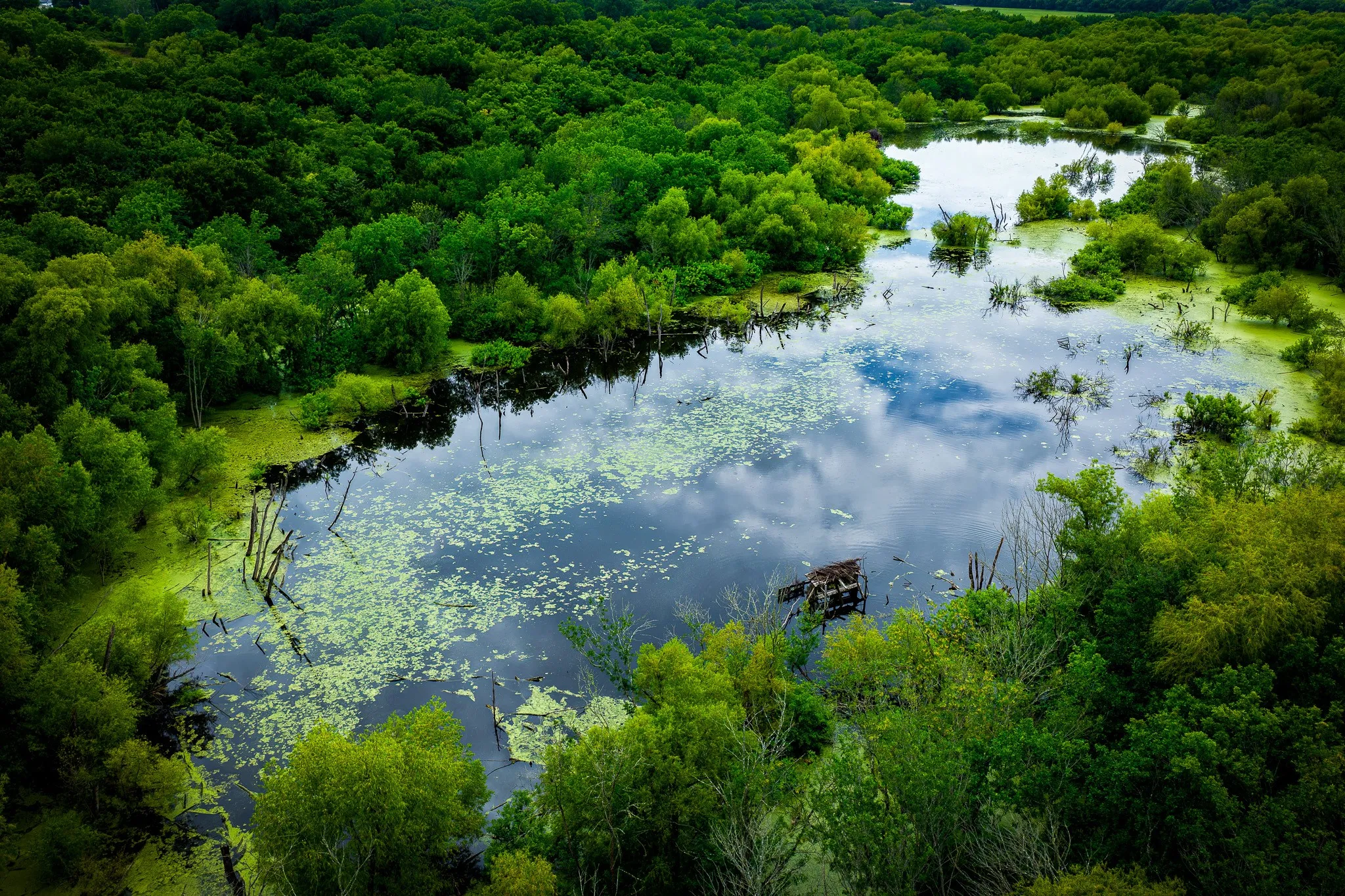 Unimproved Land For Sale in Ellis County , 775 Ten Mile, Ferris, Texas 75125, 0, 0, Garage spaces, 0 Sqft, built in 0, mls#21338229, Real Estate Agent in Ferris, Homes For Sale in Ellis county, Homes For Sale in Ferris, Realtor in Ferris Texas, Real Estate Brokerage Independent Realty Texas, Luminita Cordes Realtor