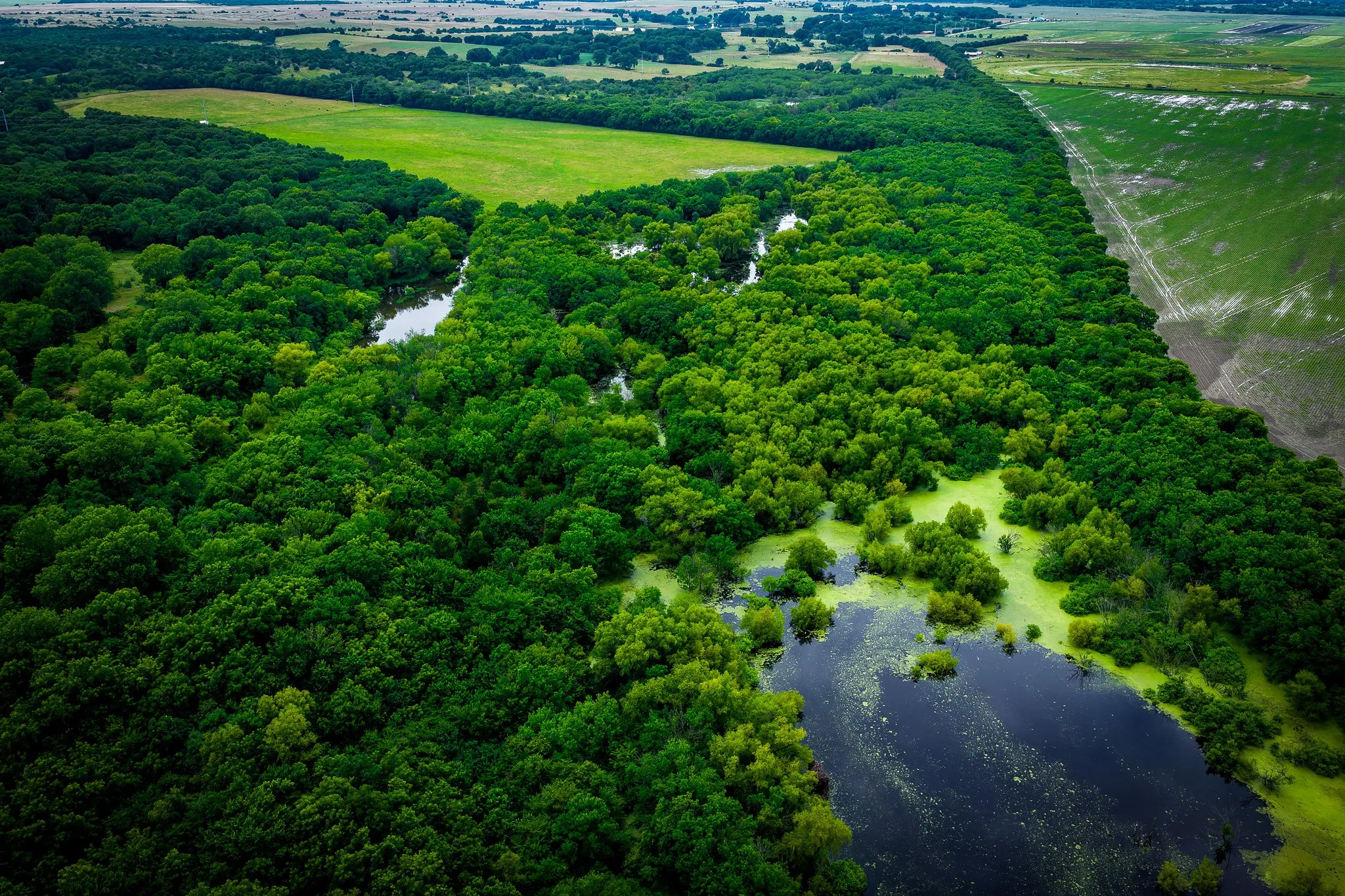 Unimproved Land For Sale in Ellis County , 775 Ten Mile, Ferris, Texas 75125, 0, 0, Garage spaces, 0 Sqft, built in 0, mls#21338229, Real Estate Agent in Ferris, Homes For Sale in Ellis county, Homes For Sale in Ferris, Realtor in Ferris Texas, Real Estate Brokerage Independent Realty Texas, Luminita Cordes Realtor