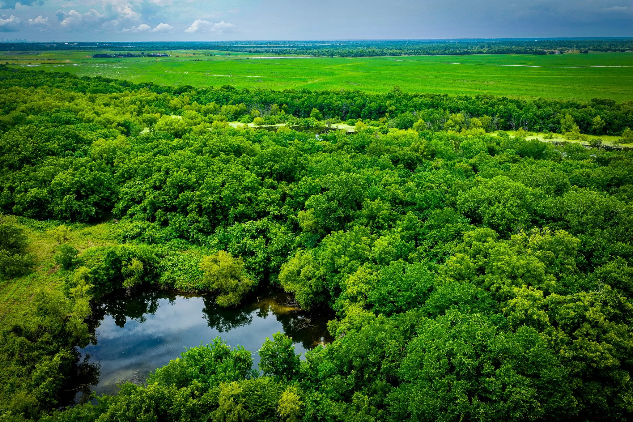 Unimproved Land For Sale in Ellis County , 775 Ten Mile, Ferris, Texas 75125, 0, 0, Garage spaces, 0 Sqft, built in 0, mls#21338229, Real Estate Agent in Ferris, Homes For Sale in Ellis county, Homes For Sale in Ferris, Realtor in Ferris Texas, Real Estate Brokerage Independent Realty Texas, Luminita Cordes Realtor