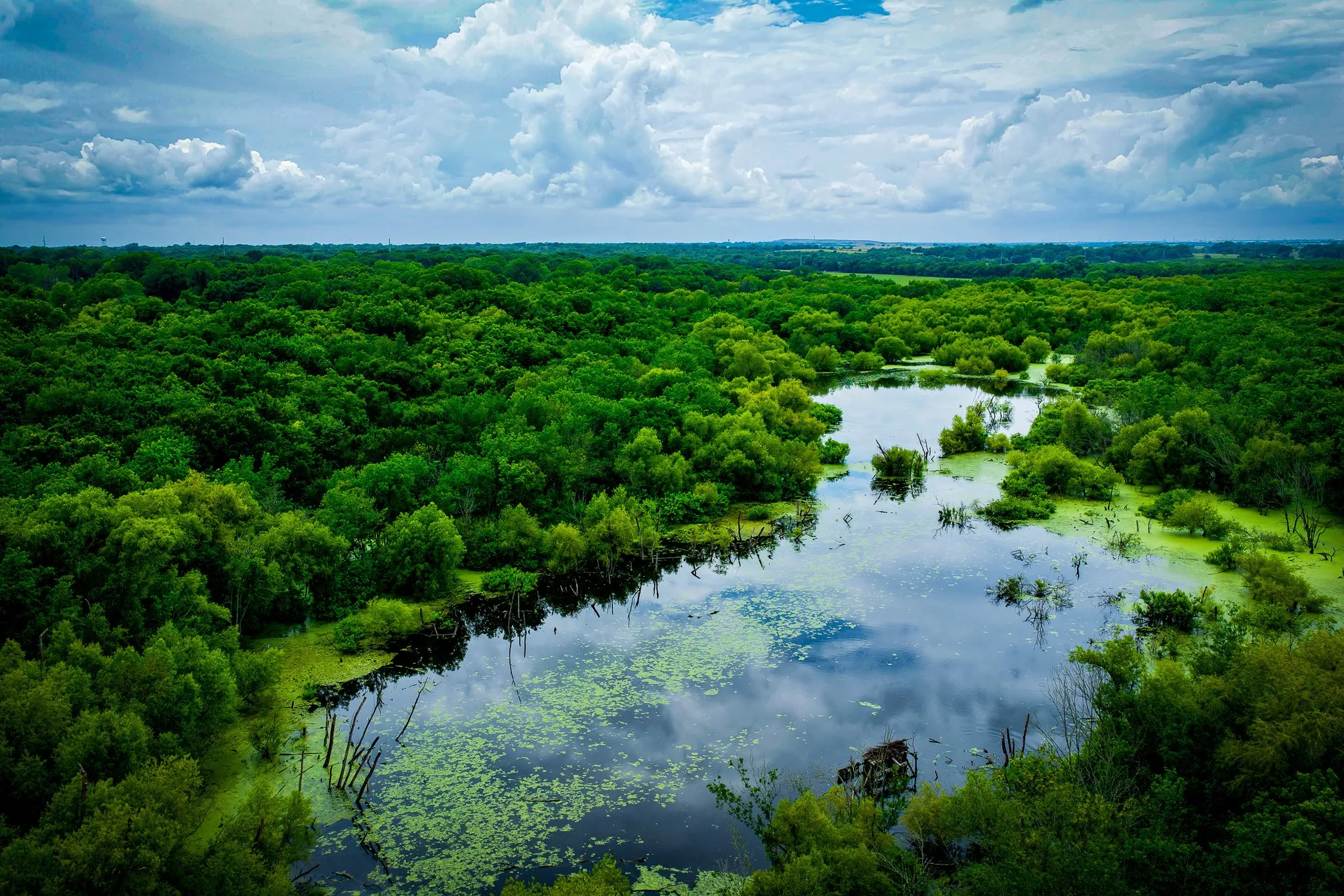 Unimproved Land For Sale in Ellis County , 775 Ten Mile, Ferris, Texas 75125, 0, 0, Garage spaces, 0 Sqft, built in 0, mls#21338229, Real Estate Agent in Ferris, Homes For Sale in Ellis county, Homes For Sale in Ferris, Realtor in Ferris Texas, Real Estate Brokerage Independent Realty Texas, Luminita Cordes Realtor