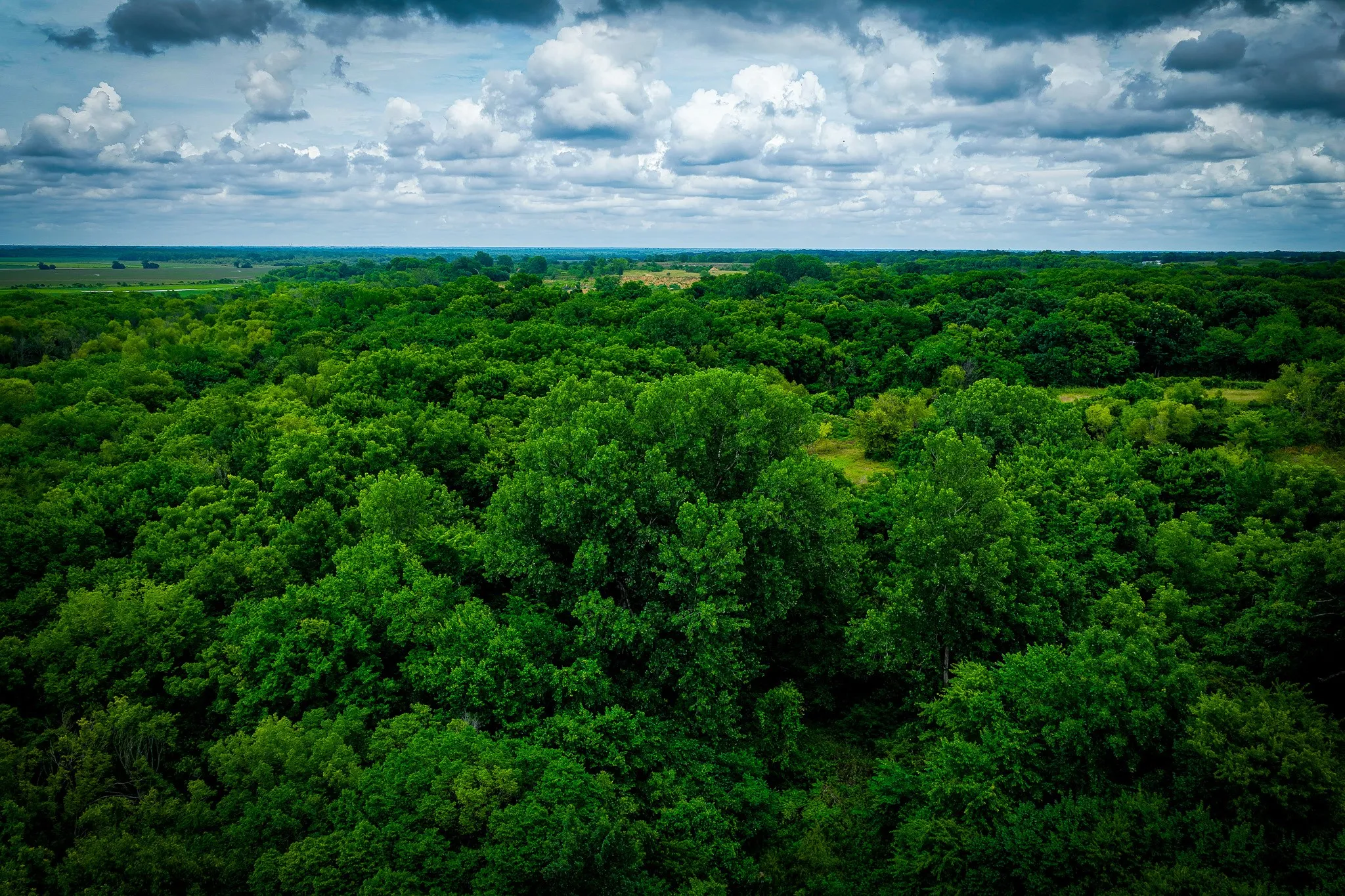 Unimproved Land For Sale in Ellis County , 775 Ten Mile, Ferris, Texas 75125, 0, 0, Garage spaces, 0 Sqft, built in 0, mls#21338229, Real Estate Agent in Ferris, Homes For Sale in Ellis county, Homes For Sale in Ferris, Realtor in Ferris Texas, Real Estate Brokerage Independent Realty Texas, Luminita Cordes Realtor