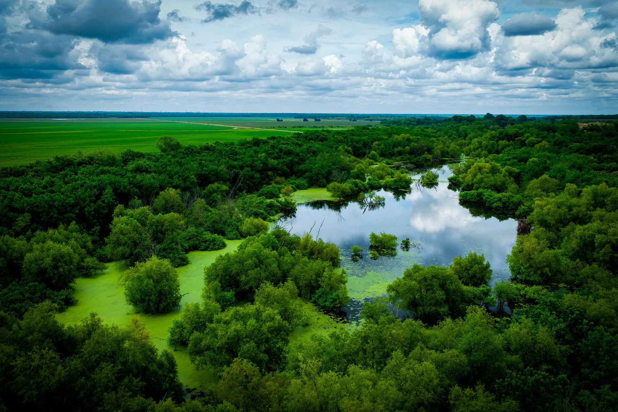 Unimproved Land For Sale in Ellis County , 775 Ten Mile, Ferris, Texas 75125, 0, 0, Garage spaces, 0 Sqft, built in 0, mls#21338229, Real Estate Agent in Ferris, Homes For Sale in Ellis county, Homes For Sale in Ferris, Realtor in Ferris Texas, Real Estate Brokerage Independent Realty Texas, Luminita Cordes Realtor