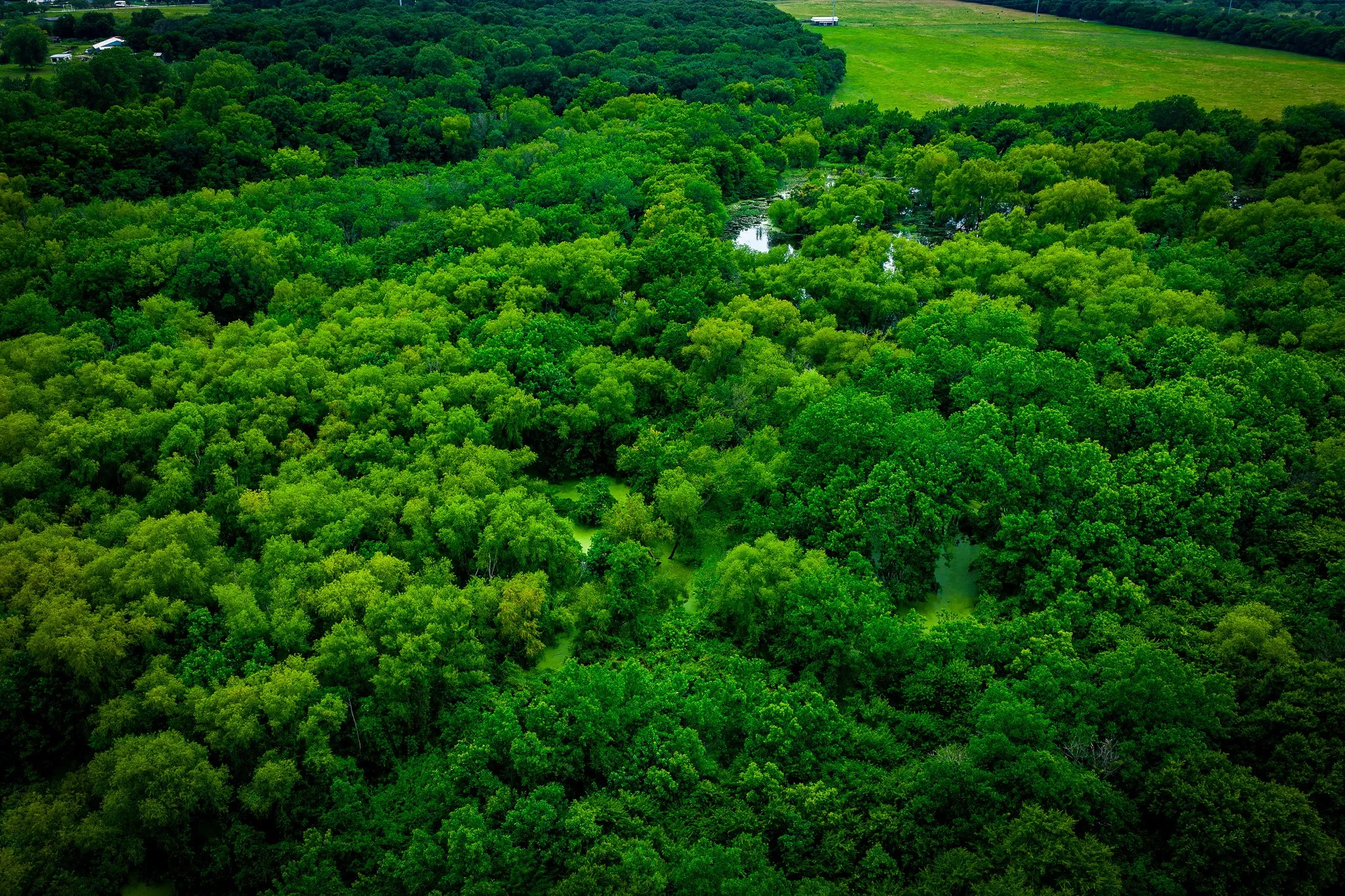 Unimproved Land For Sale in Ellis County , 775 Ten Mile, Ferris, Texas 75125, 0, 0, Garage spaces, 0 Sqft, built in 0, mls#21338229, Real Estate Agent in Ferris, Homes For Sale in Ellis county, Homes For Sale in Ferris, Realtor in Ferris Texas, Real Estate Brokerage Independent Realty Texas, Luminita Cordes Realtor