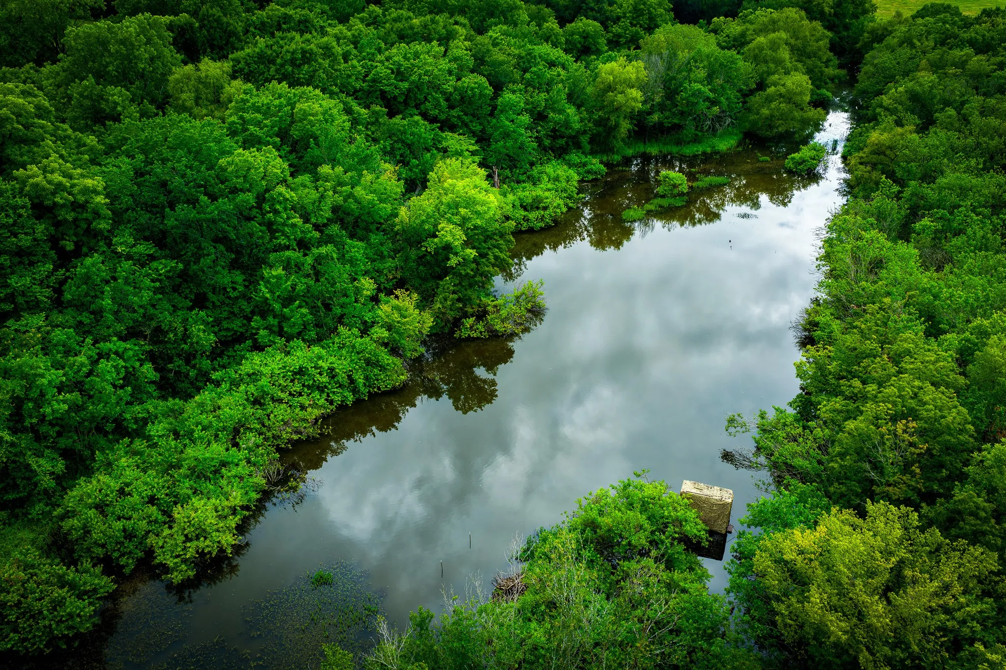 Unimproved Land For Sale in Ellis County , 775 Ten Mile, Ferris, Texas 75125, 0, 0, Garage spaces, 0 Sqft, built in 0, mls#21338229, Real Estate Agent in Ferris, Homes For Sale in Ellis county, Homes For Sale in Ferris, Realtor in Ferris Texas, Real Estate Brokerage Independent Realty Texas, Luminita Cordes Realtor