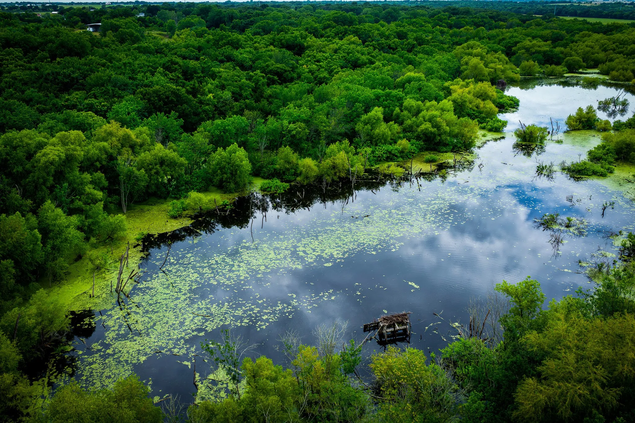 Unimproved Land For Sale in Ellis County , 775 Ten Mile, Ferris, Texas 75125, 0, 0, Garage spaces, 0 Sqft, built in 0, mls#21338229, Real Estate Agent in Ferris, Homes For Sale in Ellis county, Homes For Sale in Ferris, Realtor in Ferris Texas, Real Estate Brokerage Independent Realty Texas, Luminita Cordes Realtor