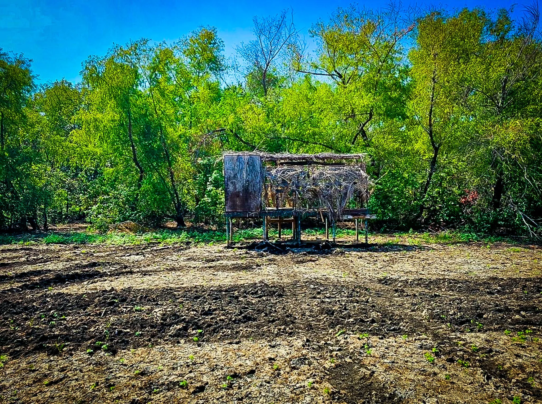Unimproved Land For Sale in Ellis County , 775 Ten Mile, Ferris, Texas 75125, 0, 0, Garage spaces, 0 Sqft, built in 0, mls#21338229, Real Estate Agent in Ferris, Homes For Sale in Ellis county, Homes For Sale in Ferris, Realtor in Ferris Texas, Real Estate Brokerage Independent Realty Texas, Luminita Cordes Realtor