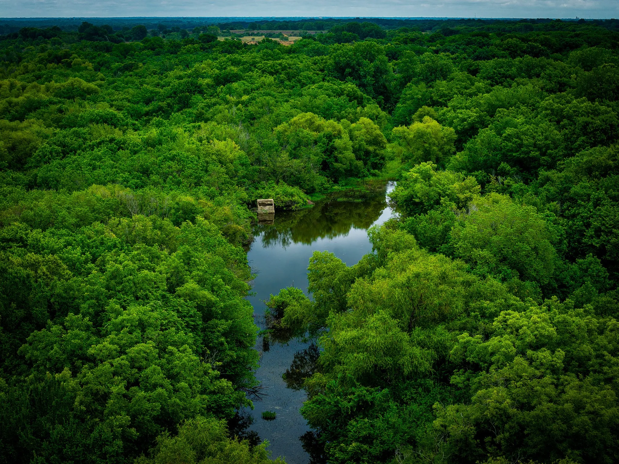 Unimproved Land For Sale in Ellis County , 775 Ten Mile, Ferris, Texas 75125, 0, 0, Garage spaces, 0 Sqft, built in 0, mls#21338229, Real Estate Agent in Ferris, Homes For Sale in Ellis county, Homes For Sale in Ferris, Realtor in Ferris Texas, Real Estate Brokerage Independent Realty Texas, Luminita Cordes Realtor