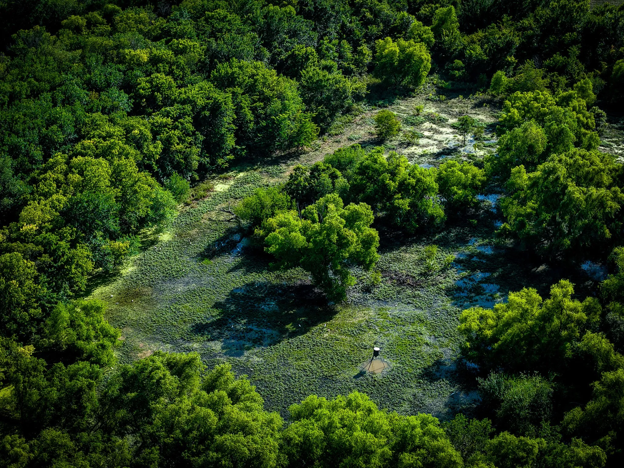 Unimproved Land For Sale in Ellis County , 775 Ten Mile, Ferris, Texas 75125, 0, 0, Garage spaces, 0 Sqft, built in 0, mls#21338229, Real Estate Agent in Ferris, Homes For Sale in Ellis county, Homes For Sale in Ferris, Realtor in Ferris Texas, Real Estate Brokerage Independent Realty Texas, Luminita Cordes Realtor