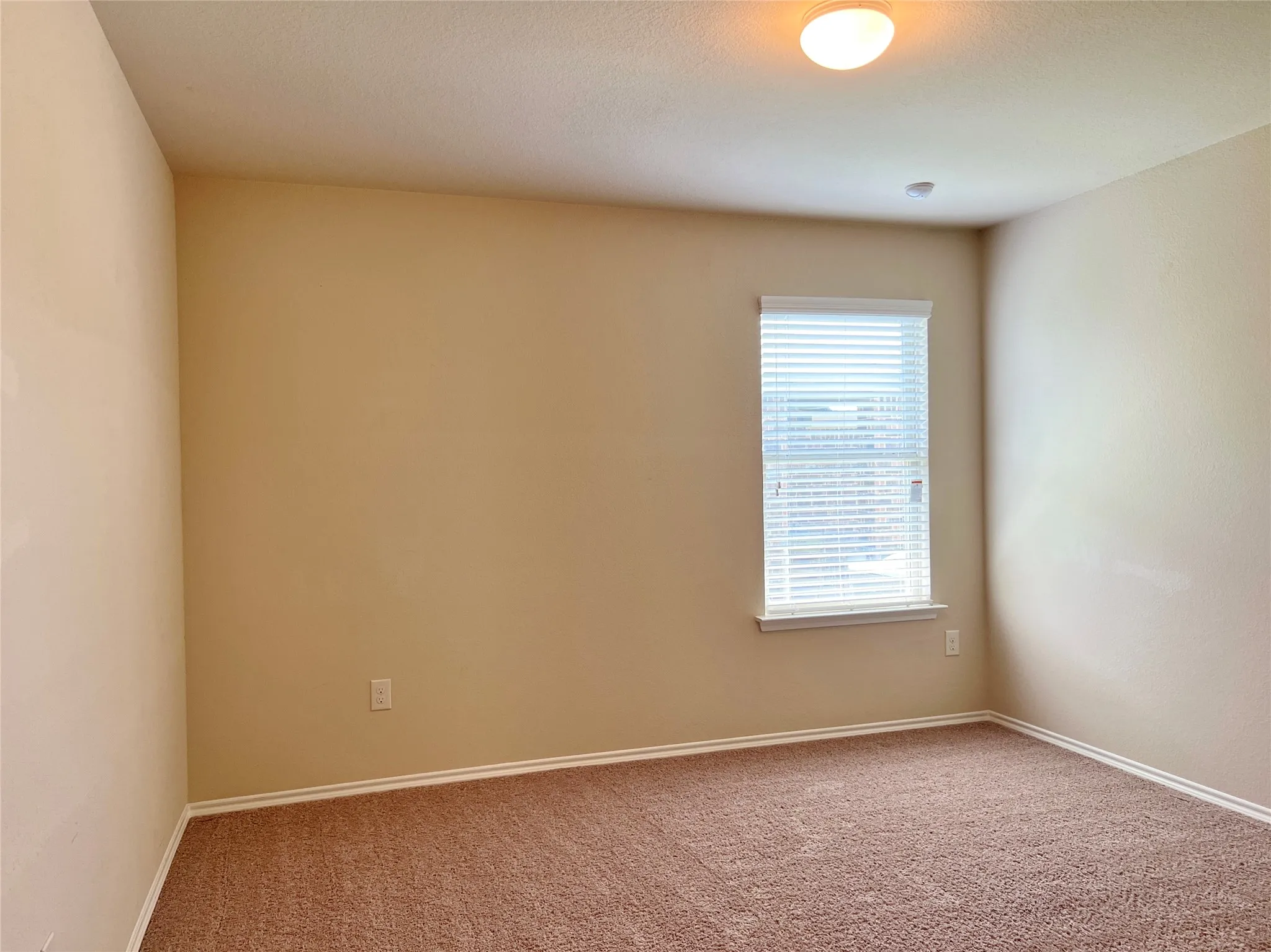 Single Family Residence For Rent in Ellis County , 222 Thoroughbred Street, Waxahachie, Texas 75165, 4 Bedroom, 2 Bathroom, 2 Garage spaces, 1,874 Sqft, built in 2016, mls#21338245, Real Estate Agent in Waxahachie, Homes For Rent in Ellis county, Homes For Rent in Waxahachie, Realtor in Waxahachie Texas, Real Estate Brokerage Independent Realty Texas, Luminita Cordes Realtor