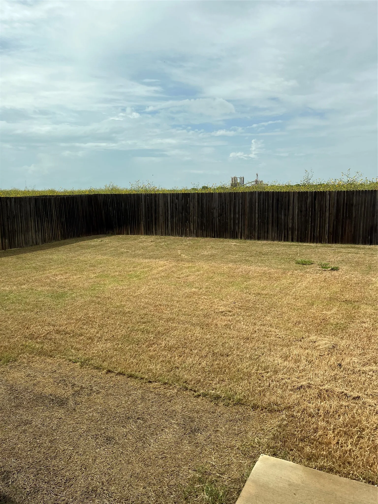 BACK YARD