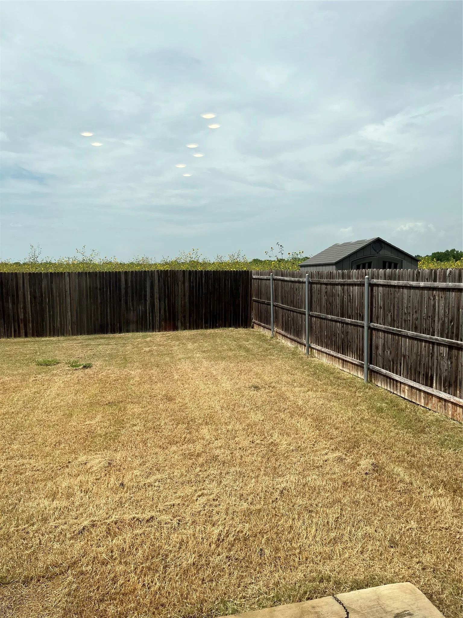 BACK YARD