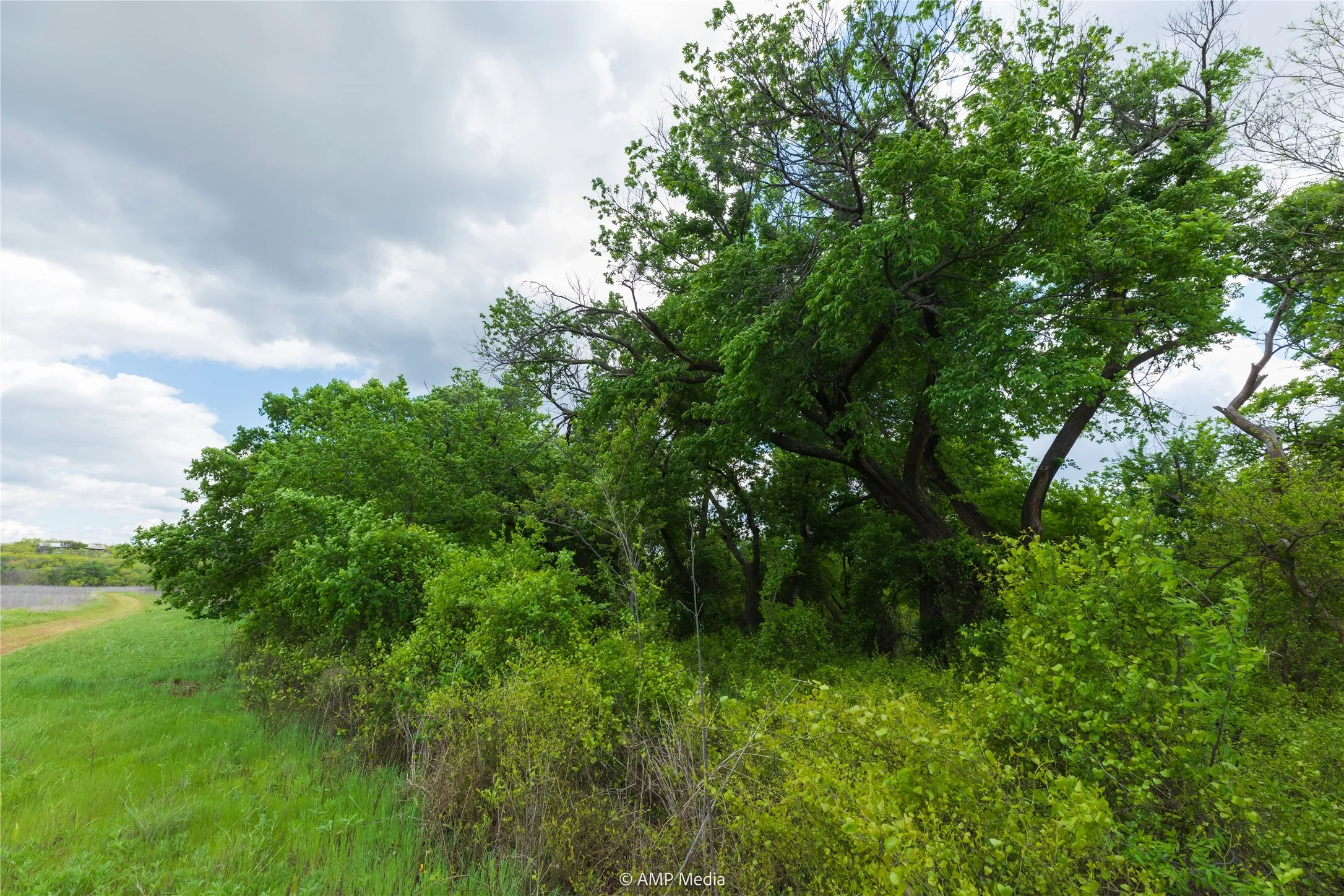 Unimproved Land For Sale in Jones County , LOT 1 TBD CR 327, Abilene, Texas 79601, 0, 0, Garage spaces, 0 Sqft, built in 0, Price $232,000, mls#21338309, Real Estate Agent in Abilene, Homes For Sale in Jones county, Homes For Sale in Abilene, Realtor in Abilene Texas, Real Estate Brokerage Independent Realty Texas, Luminita Cordes Realtor