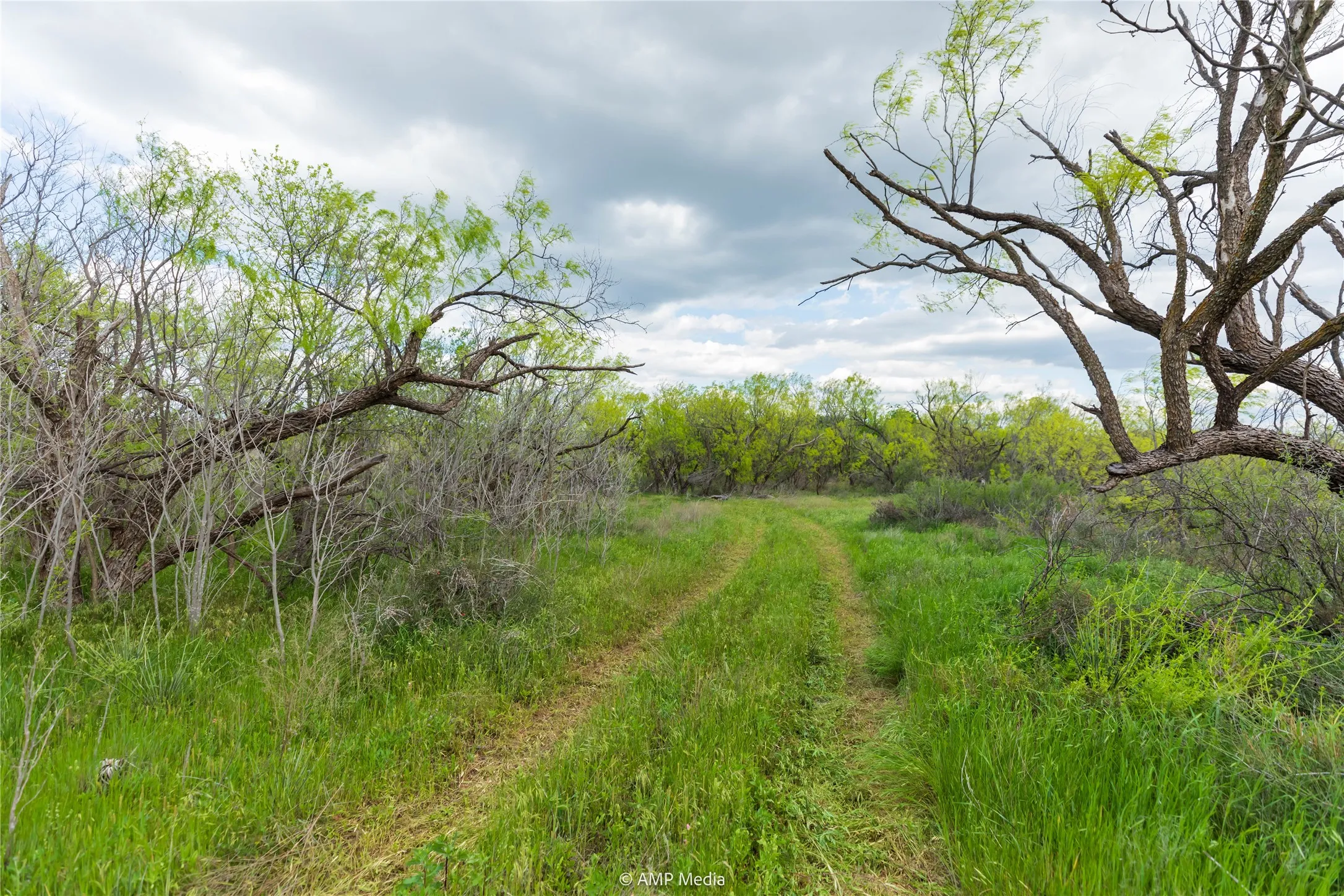 Unimproved Land For Sale in Jones County , LOT 1 TBD CR 327, Abilene, Texas 79601, 0, 0, Garage spaces, 0 Sqft, built in 0, Price $232,000, mls#21338309, Real Estate Agent in Abilene, Homes For Sale in Jones county, Homes For Sale in Abilene, Realtor in Abilene Texas, Real Estate Brokerage Independent Realty Texas, Luminita Cordes Realtor