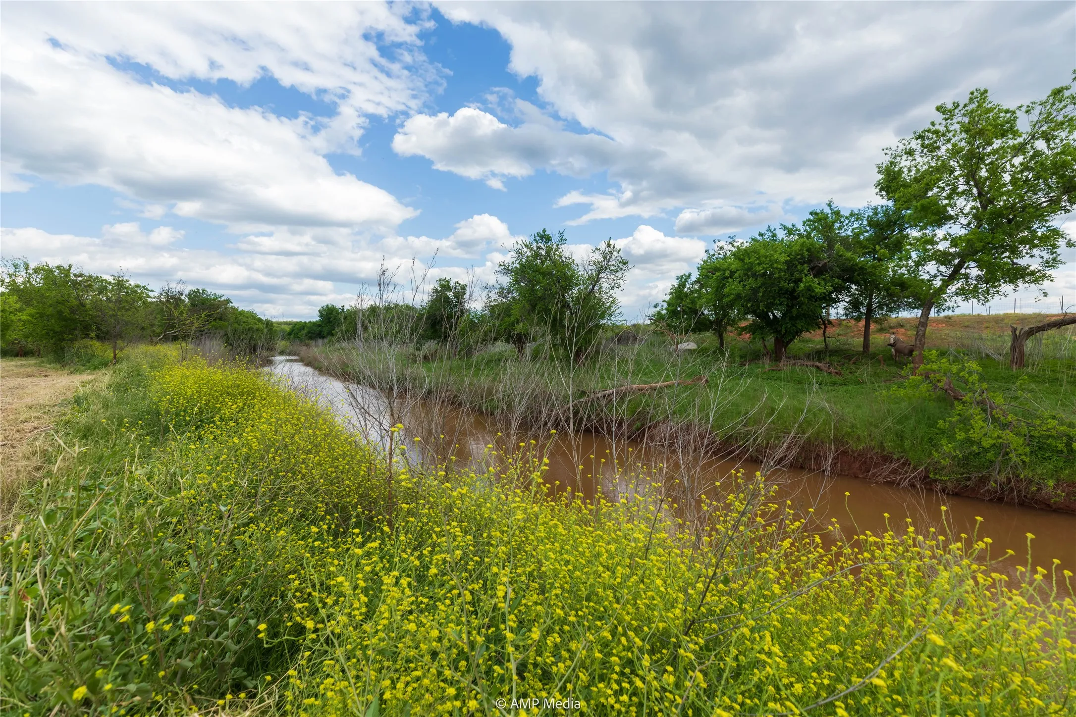 Unimproved Land For Sale in Jones County , LOT 1 TBD CR 327, Abilene, Texas 79601, 0, 0, Garage spaces, 0 Sqft, built in 0, Price $232,000, mls#21338309, Real Estate Agent in Abilene, Homes For Sale in Jones county, Homes For Sale in Abilene, Realtor in Abilene Texas, Real Estate Brokerage Independent Realty Texas, Luminita Cordes Realtor