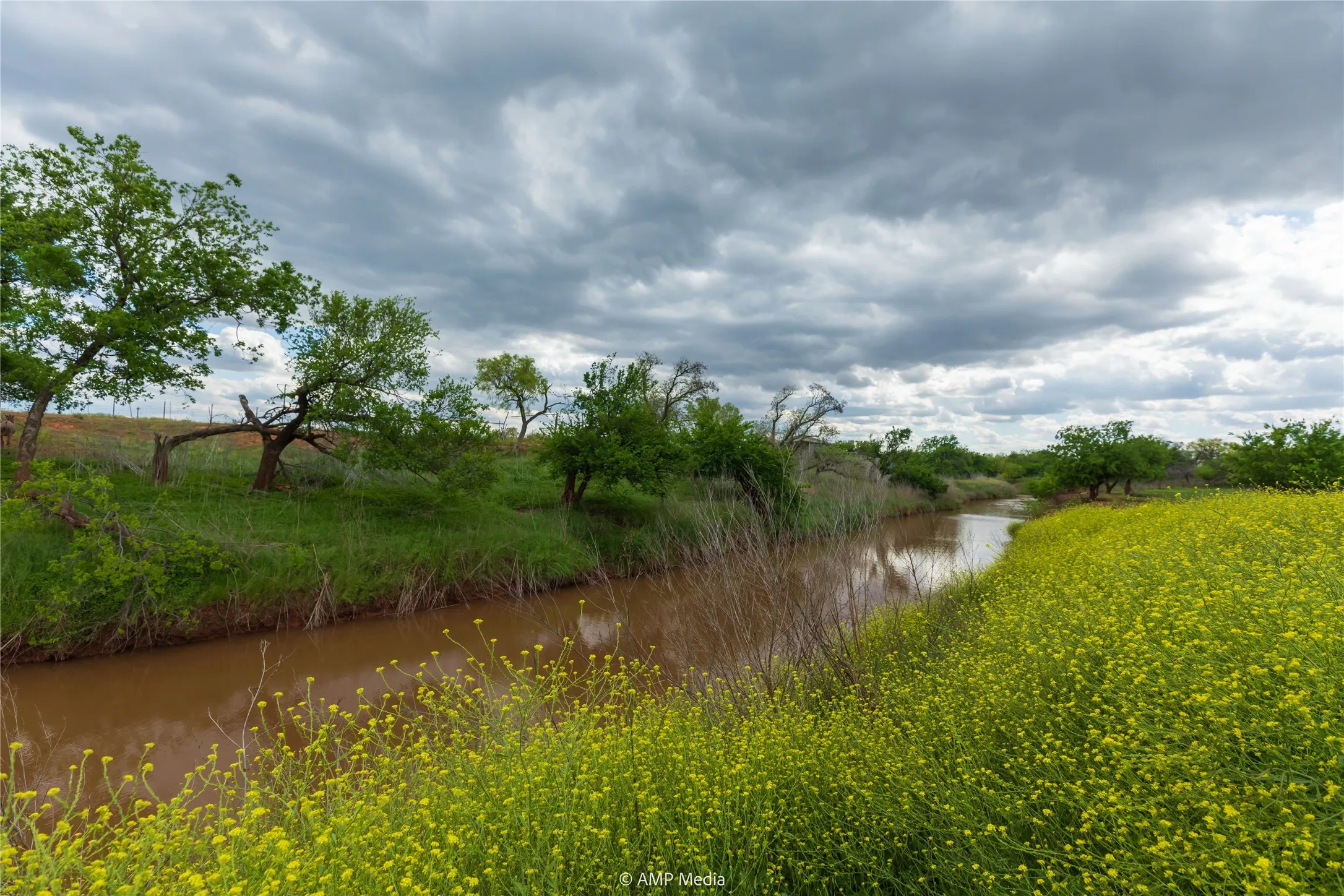 Unimproved Land For Sale in Jones County , LOT 1 TBD CR 327, Abilene, Texas 79601, 0, 0, Garage spaces, 0 Sqft, built in 0, Price $232,000, mls#21338309, Real Estate Agent in Abilene, Homes For Sale in Jones county, Homes For Sale in Abilene, Realtor in Abilene Texas, Real Estate Brokerage Independent Realty Texas, Luminita Cordes Realtor