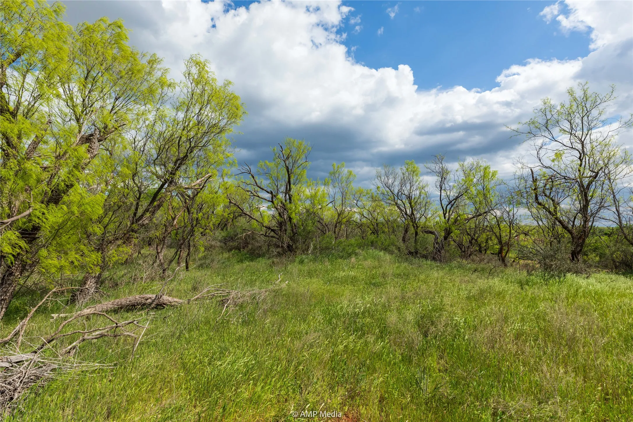Unimproved Land For Sale in Jones County , LOT 1 TBD CR 327, Abilene, Texas 79601, 0, 0, Garage spaces, 0 Sqft, built in 0, Price $232,000, mls#21338309, Real Estate Agent in Abilene, Homes For Sale in Jones county, Homes For Sale in Abilene, Realtor in Abilene Texas, Real Estate Brokerage Independent Realty Texas, Luminita Cordes Realtor