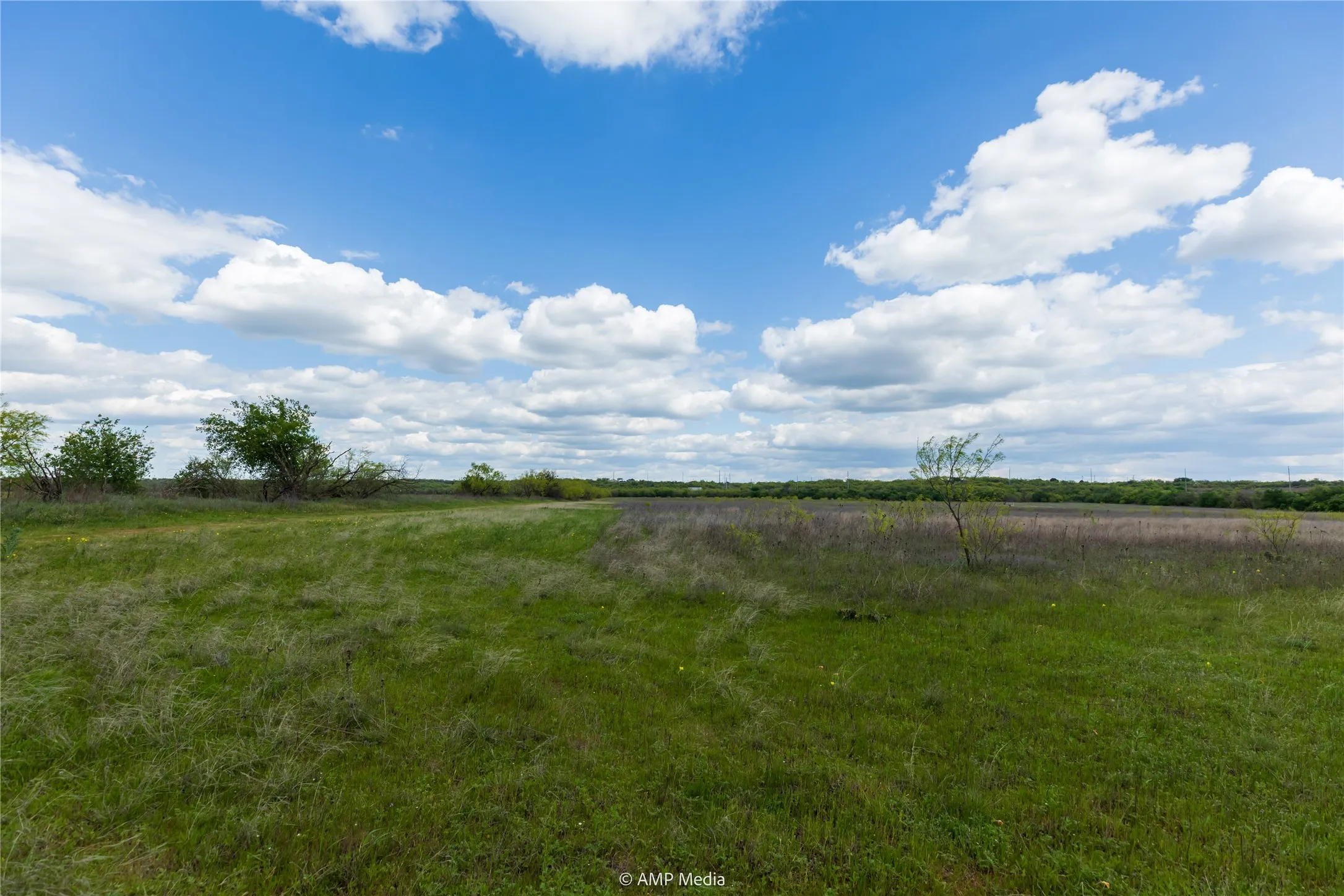 Unimproved Land For Sale in Jones County , LOT 1 TBD CR 327, Abilene, Texas 79601, 0, 0, Garage spaces, 0 Sqft, built in 0, Price $232,000, mls#21338309, Real Estate Agent in Abilene, Homes For Sale in Jones county, Homes For Sale in Abilene, Realtor in Abilene Texas, Real Estate Brokerage Independent Realty Texas, Luminita Cordes Realtor
