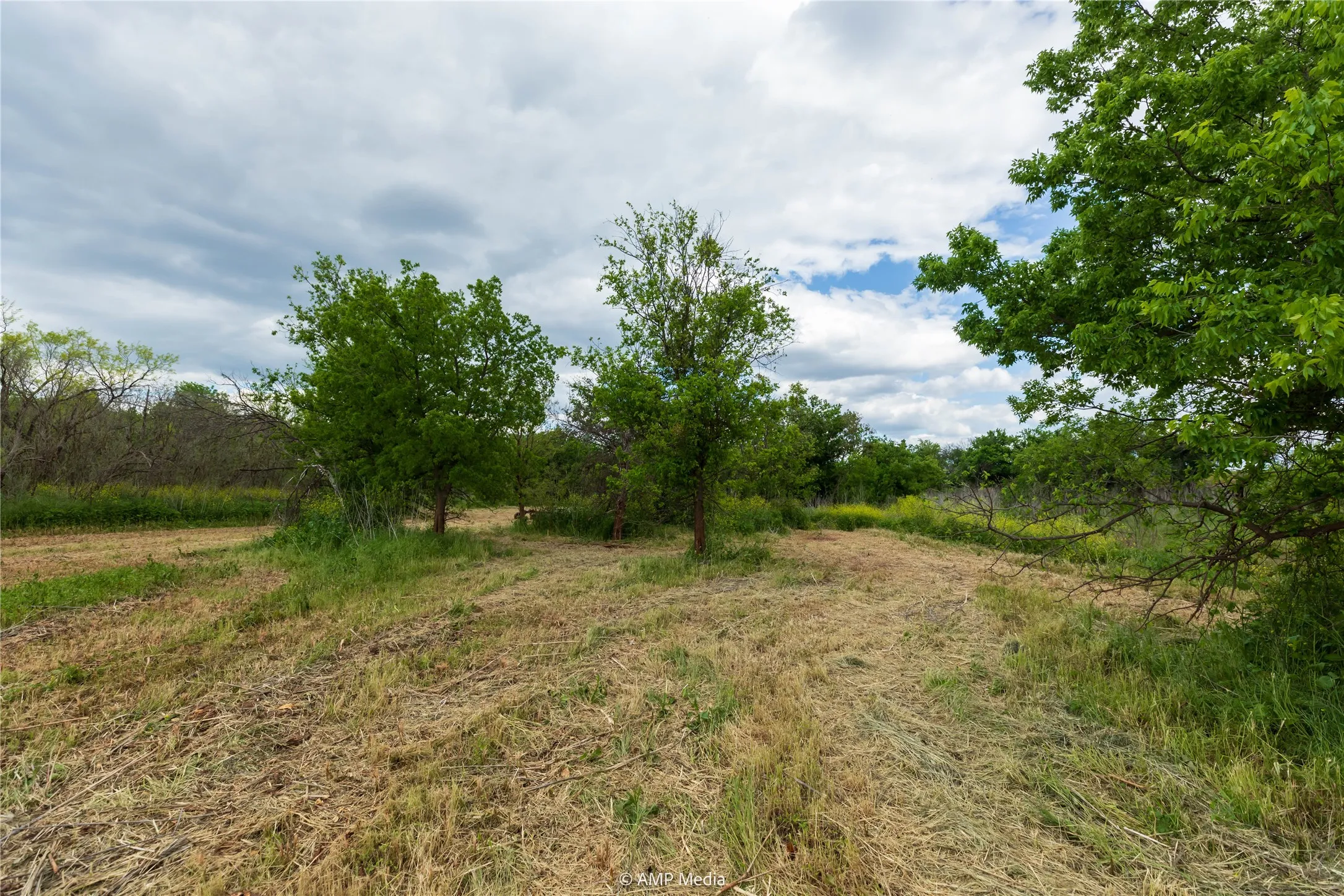 Unimproved Land For Sale in Jones County , LOT 1 TBD CR 327, Abilene, Texas 79601, 0, 0, Garage spaces, 0 Sqft, built in 0, Price $232,000, mls#21338309, Real Estate Agent in Abilene, Homes For Sale in Jones county, Homes For Sale in Abilene, Realtor in Abilene Texas, Real Estate Brokerage Independent Realty Texas, Luminita Cordes Realtor