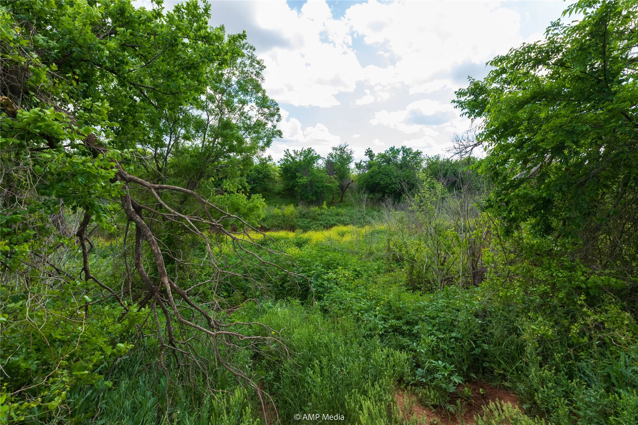 Unimproved Land For Sale in Jones County , LOT 1 TBD CR 327, Abilene, Texas 79601, 0, 0, Garage spaces, 0 Sqft, built in 0, Price $232,000, mls#21338309, Real Estate Agent in Abilene, Homes For Sale in Jones county, Homes For Sale in Abilene, Realtor in Abilene Texas, Real Estate Brokerage Independent Realty Texas, Luminita Cordes Realtor