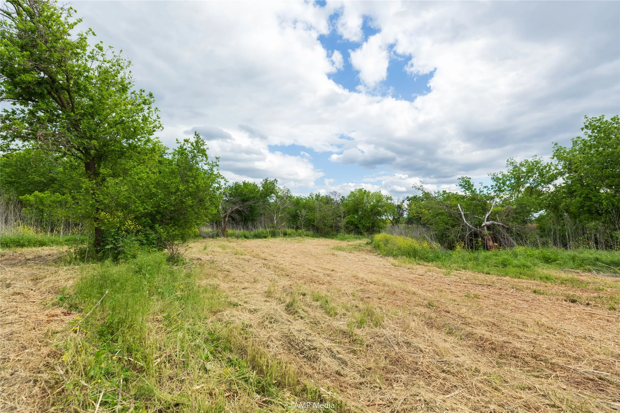 Unimproved Land For Sale in Jones County , LOT 1 TBD CR 327, Abilene, Texas 79601, 0, 0, Garage spaces, 0 Sqft, built in 0, Price $232,000, mls#21338309, Real Estate Agent in Abilene, Homes For Sale in Jones county, Homes For Sale in Abilene, Realtor in Abilene Texas, Real Estate Brokerage Independent Realty Texas, Luminita Cordes Realtor