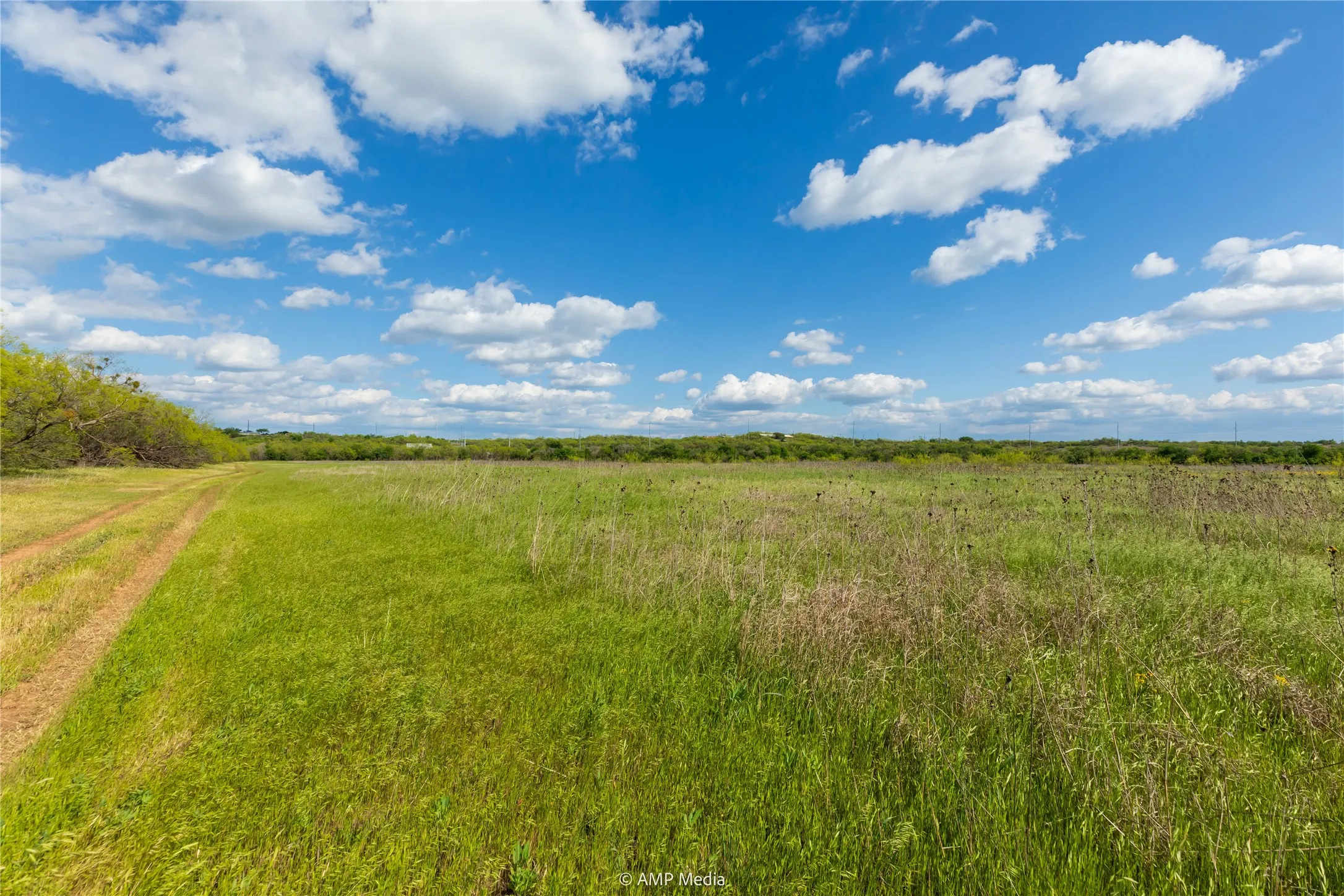 Unimproved Land For Sale in Jones County , LOT 3 TBD CR 327, Abilene, Texas 79601, 0, 0, Garage spaces, 0 Sqft, built in 0, Price $232,000, mls#21338318, Real Estate Agent in Abilene, Homes For Sale in Jones county, Homes For Sale in Abilene, Realtor in Abilene Texas, Real Estate Brokerage Independent Realty Texas, Luminita Cordes Realtor