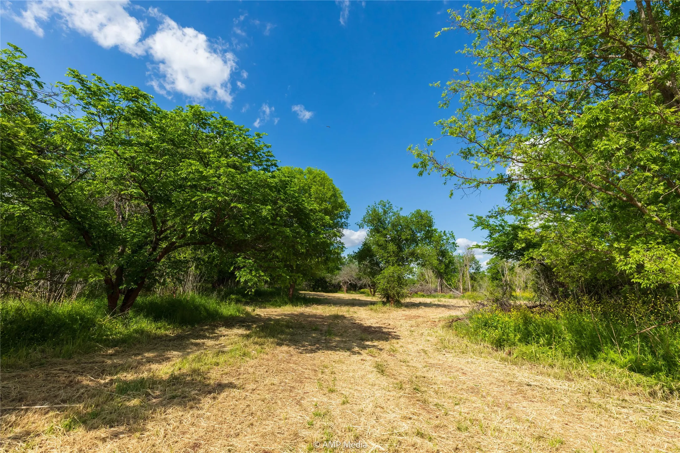 Unimproved Land For Sale in Jones County , LOT 3 TBD CR 327, Abilene, Texas 79601, 0, 0, Garage spaces, 0 Sqft, built in 0, Price $232,000, mls#21338318, Real Estate Agent in Abilene, Homes For Sale in Jones county, Homes For Sale in Abilene, Realtor in Abilene Texas, Real Estate Brokerage Independent Realty Texas, Luminita Cordes Realtor
