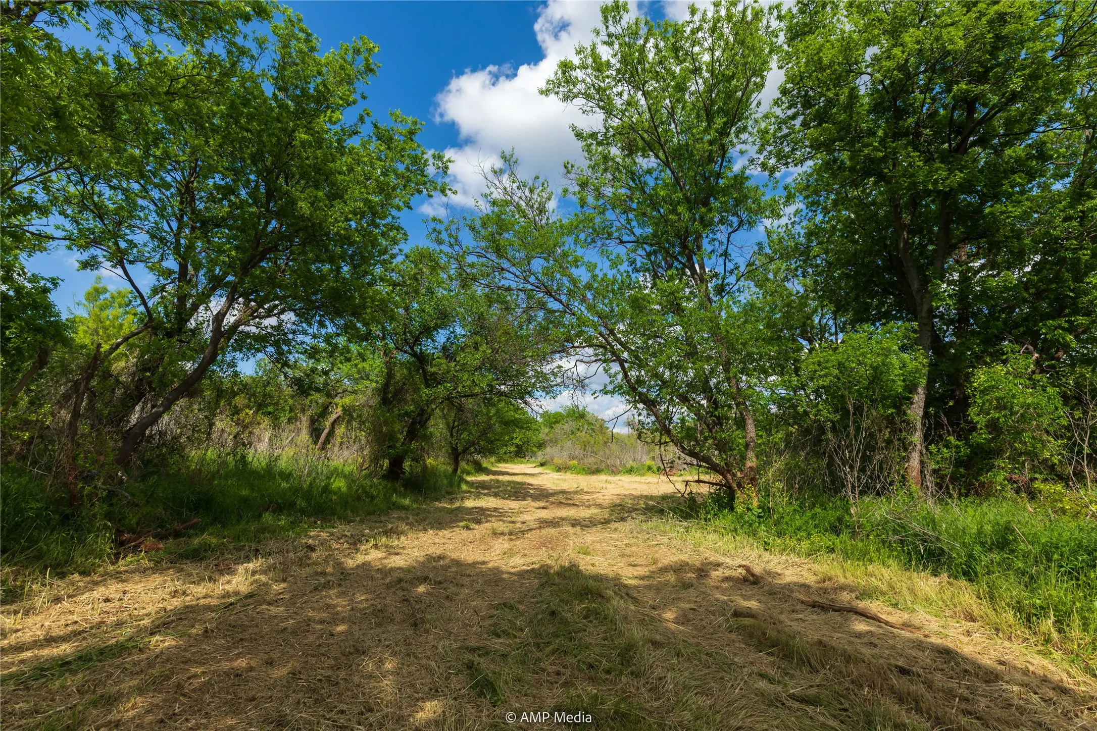 Unimproved Land For Sale in Jones County , LOT 3 TBD CR 327, Abilene, Texas 79601, 0, 0, Garage spaces, 0 Sqft, built in 0, Price $232,000, mls#21338318, Real Estate Agent in Abilene, Homes For Sale in Jones county, Homes For Sale in Abilene, Realtor in Abilene Texas, Real Estate Brokerage Independent Realty Texas, Luminita Cordes Realtor